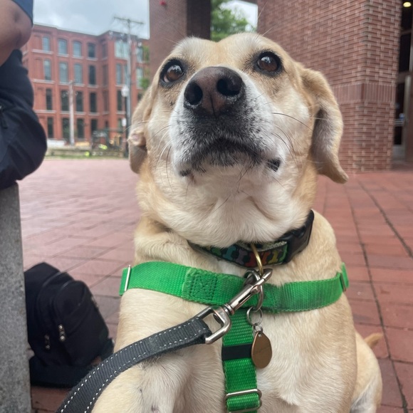 Meet your Posher, Michelle - Picture 9 of 15